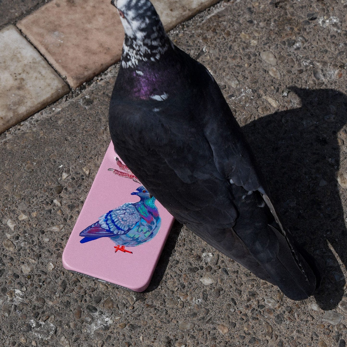 Pigeon Printed Phone Cases by Femke Studio - The Dairy